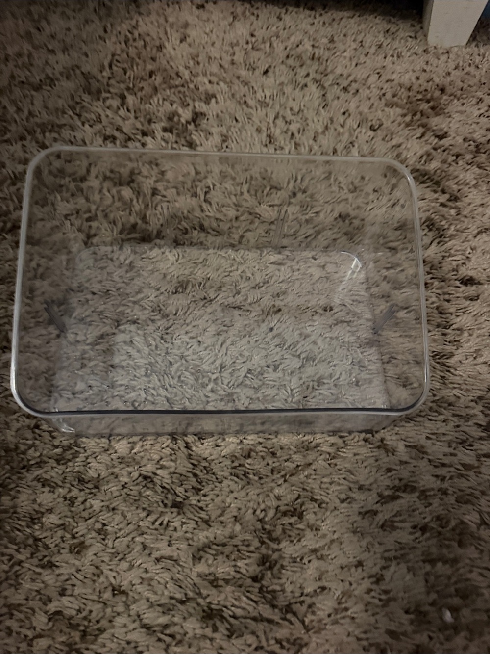 Clear Acrylic Storage Bin - Transparent Organizer for Home